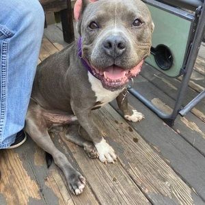 Meet your Posher, Karen